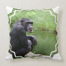 Customize Product Pillows