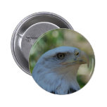 Customize Product Pinback Button