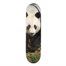 Customize Product Skate Board Deck