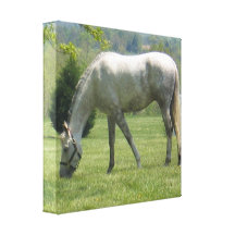 Customize Product Stretched Canvas Print