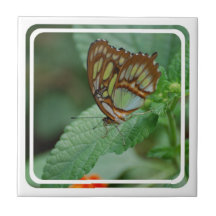 Customize Product Tile