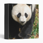 Customize Product Vinyl Binder