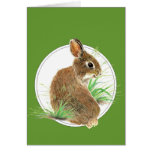 Customize this Curious Rabbit, Watercolor Animal Cards