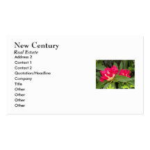 Customize Your Chubby! Headshots and Business Business Card Template