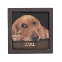 Customize your own dog gift box premium gift boxes