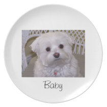Customize your own dog plate plates