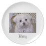 Customize your own dog plate