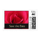 Customize your own Wedding Save the Date stamps