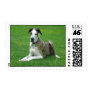 Customizeable Postage Stamp