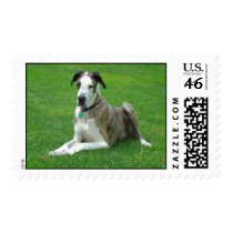Customizeable Postage Stamp