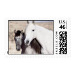 Customized Horse Invitations and Cards Postage Stamps