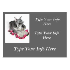 Customized Miniature Schnauzer Profile Cards profilecard