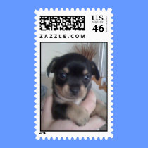 Customized Postage Stamps, You Create it. stamps