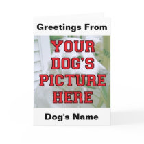 Customized Your Dog's Photo Greeting Cards