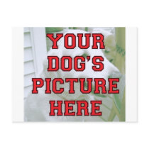 Customized Your Dog's Photo Postcards