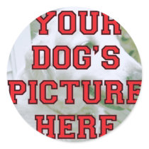 Customized Your Dog's Photo Sticker