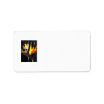 Cut Bird of Paradise Flowers 1 Personalized Address Labels