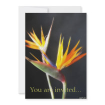 Cut Bird of Paradise Flowers 2 Invitation