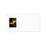 Cut Bird of Paradise Flowers 3 Address Label