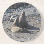 cut it out coasters