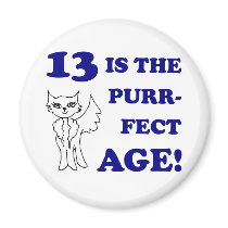 Cute 13th Birthday Present magnets
