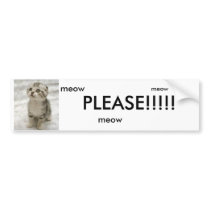 cute%20cat[1], PLEASE!!!!! bumper stickers