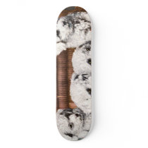 cute 4 fluffy puppies skateboard
