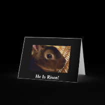 Cute Adorable Bunny Face  He Is Risen! cards