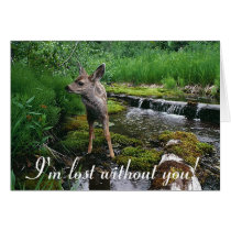 Cute adorable fawn cards