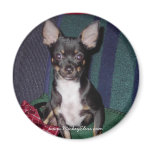 Cute & Adorable MickeyElvis Refrigerator Magnet
