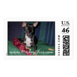 Cute & Adorable MickeyElvis Postage