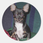 Cute & Adorable MickeyElvis stickers