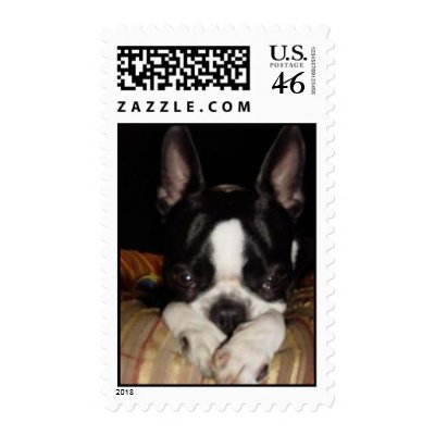 cute adorable puppy dog boston terrier stamp by doggypups