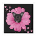 Cute Adorable Sly Heaven Chihuahua magnets by mickeyelvis128 Cute Adorable Sly Heaven Chihuahua magnets