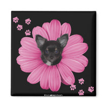 Cute Adorable Sly Heaven Chihuahua magnets by mickeyelvis128 Cute Adorable Sly Heaven Chihuahua magnets