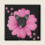 Cute Adorable Sly Heaven Chihuahua magnets