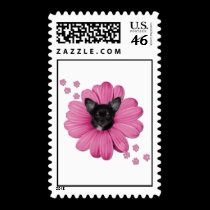 Cute Adorable Sly Heaven Chihuahua postage by mickeyelvis128 Cute Adorable Sly Heaven Chihuahua postage