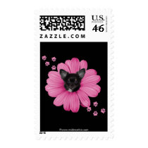 Cute Adorable Sly Heaven Chihuahua Postage Stamp