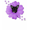 Cute Adorable Sly Heaven Chihuahua t-shirts by mickeyelvis128 Cute Adorable Sly Heaven Chihuahua t-shirts