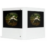 Cute African Side Necked brown turtle black frame binders