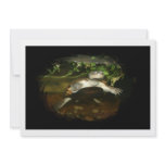Cute African Side Necked brown turtle black frame invitations