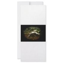 Cute African Side Necked brown turtle black frame Full Color Rack Card