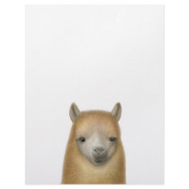 Cute Alpaca Letterhead
