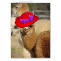 Cute Alpaca Note Cards