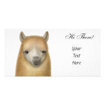 Cute Alpaca Photo Card photo cards