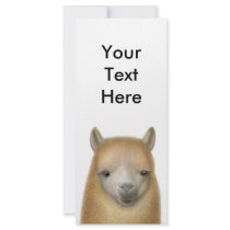 Cute Alpaca Rack Card