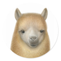 Cute Alpaca Sticker