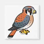 Cute American Kestrel Fridge Magnets