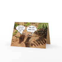 Cute and customizable greeting cards