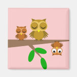 cute and funny owls magnets